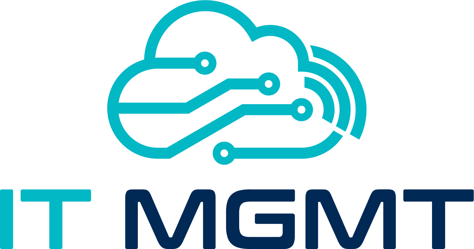 IT Management Solutions